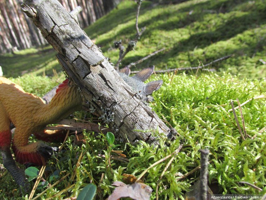 Ящеры в лесу: чужая добыча | Бэйбики Ящеры в лесу: чужая добыча