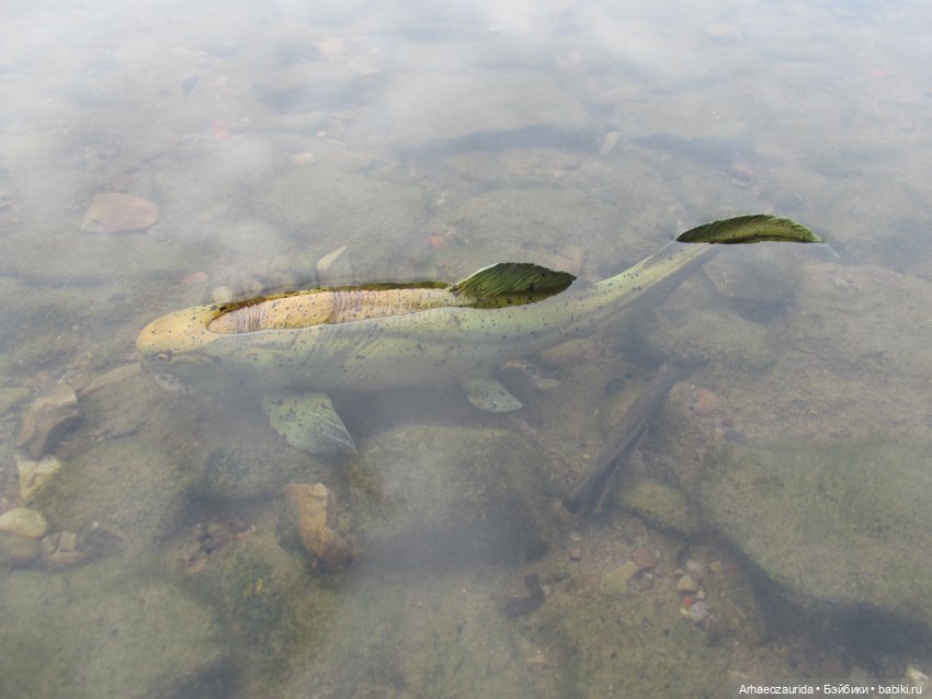 Кейнес: Ждущая Море — Интересные игрушки и фигурки (разное): редкие