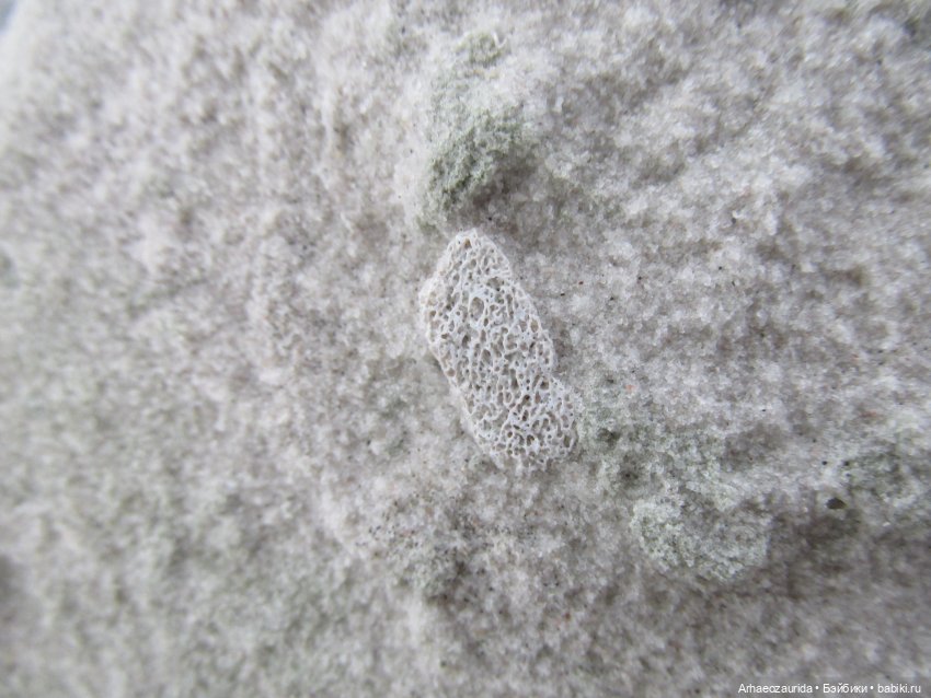 Кейнес: Ждущая Море — Интересные игрушки и фигурки (разное): редкие