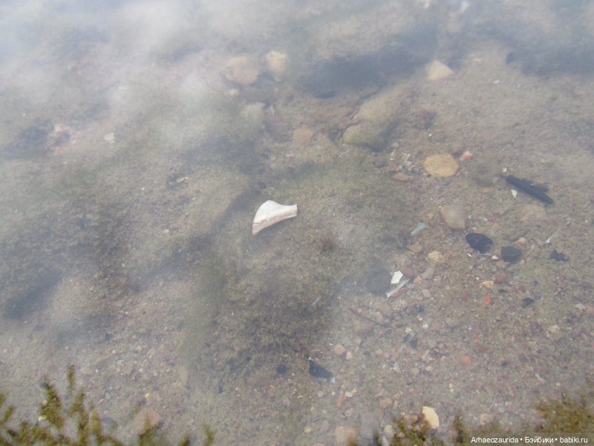 Кейнес: Ждущая Море — Интересные игрушки и фигурки (разное): редкие