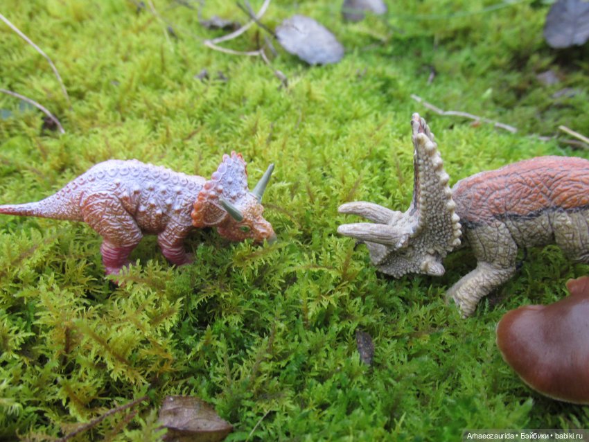 Ящеры на Холмах: осеннее переселение