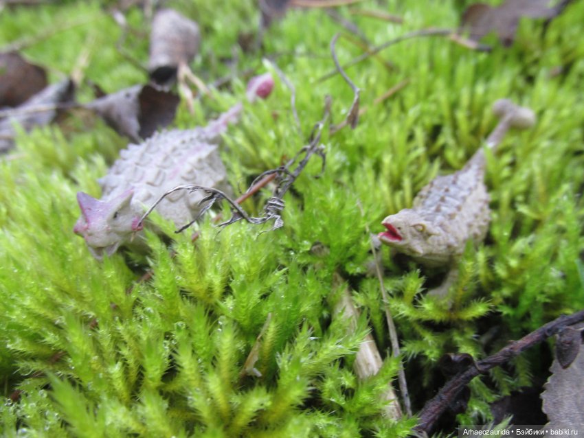 Ящеры на Холмах: осеннее переселение