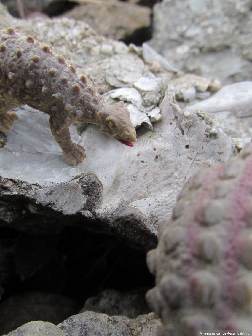 Ящеры на Холмах: осеннее переселение (фото 4)