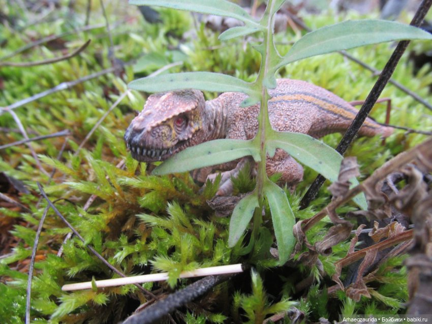 Ящеры на Холмах: осеннее переселение