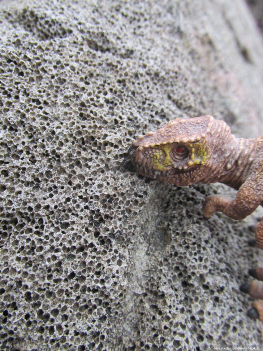 Ящеры на Холмах: осеннее переселение (фото 9)