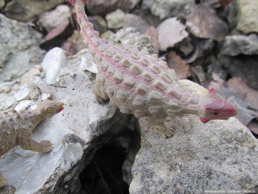 Ящеры на Холмах: осеннее переселение (фото 5)