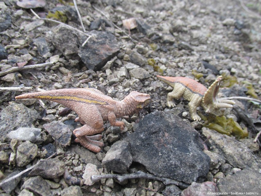 Ящеры на Холмах: осеннее переселение (фото 7)