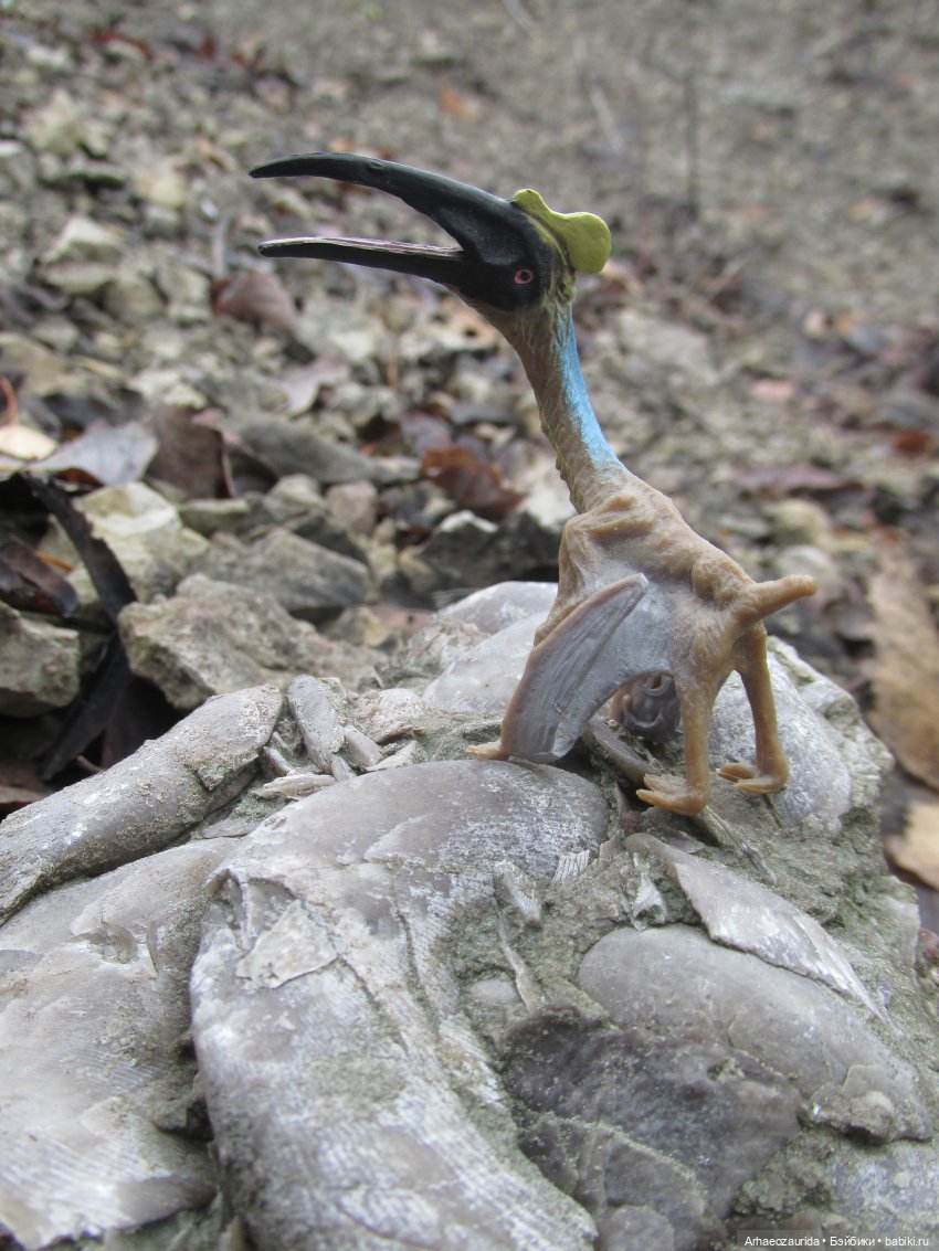 Ящеры на Холмах: осеннее переселение (фото 8)