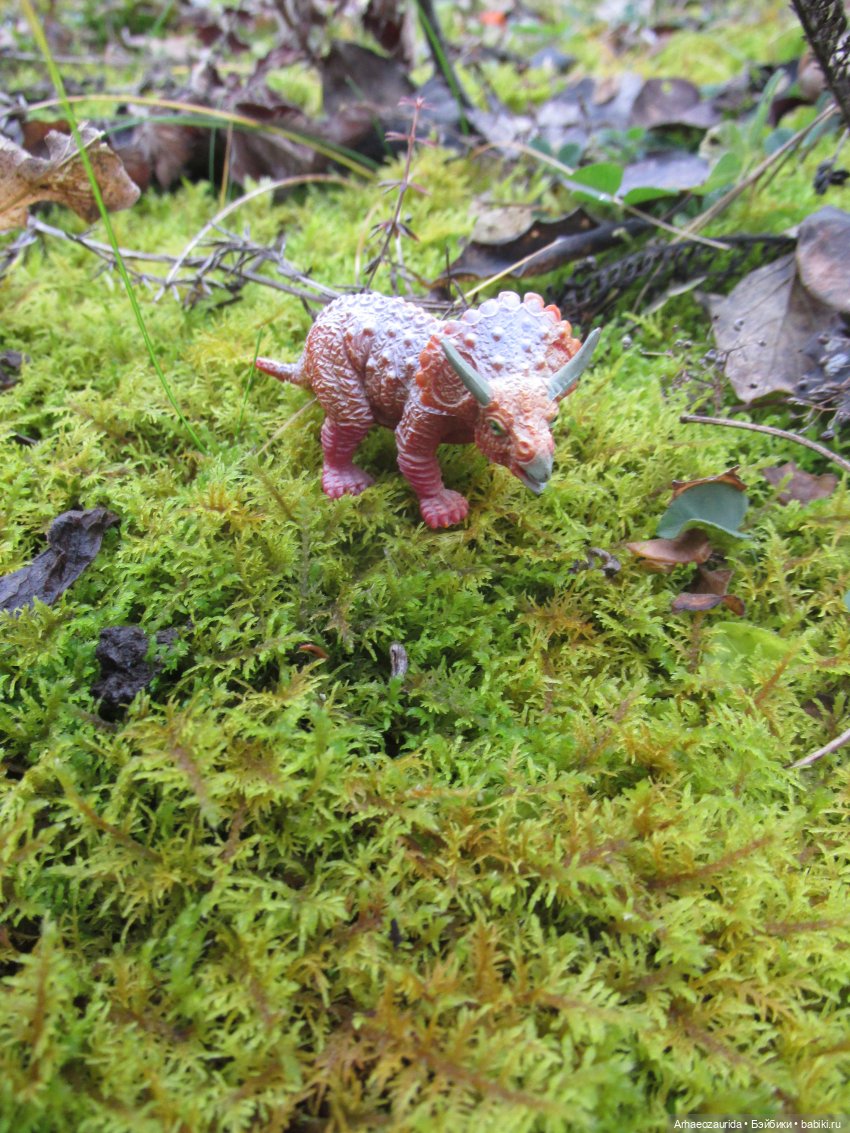 Ящеры на Холмах: осеннее переселение