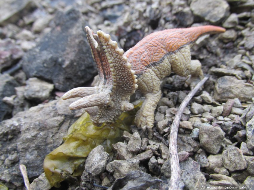 Ящеры на Холмах: осеннее переселение (фото 6)