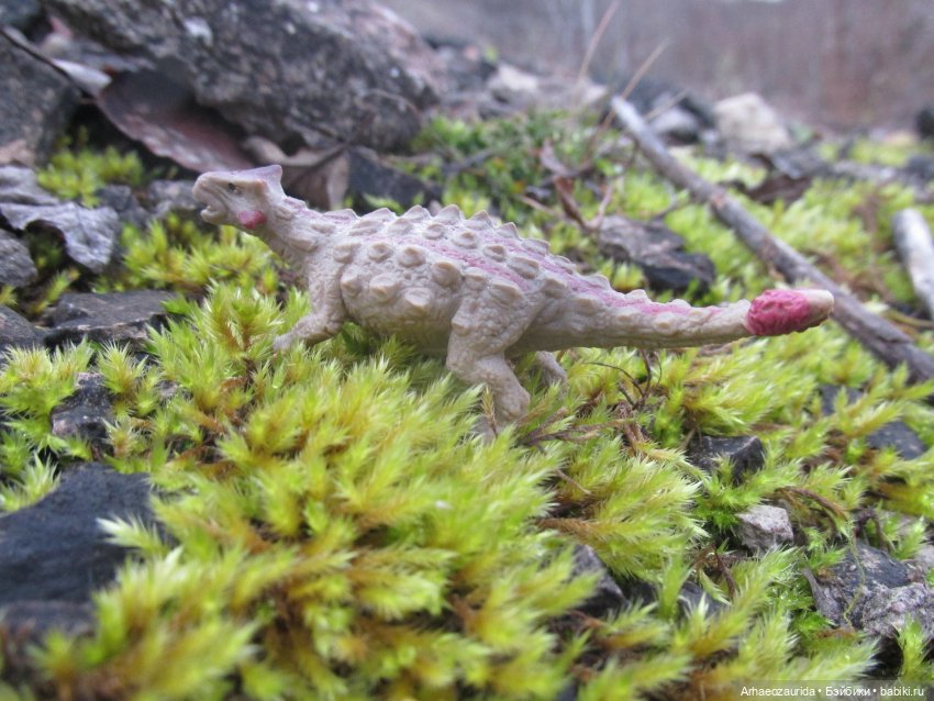 Ящеры на Холмах: осеннее переселение (фото 10)