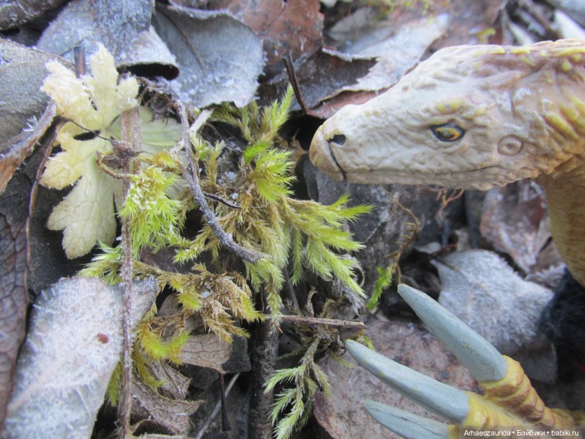 Кейнес: возвращение в Холмы