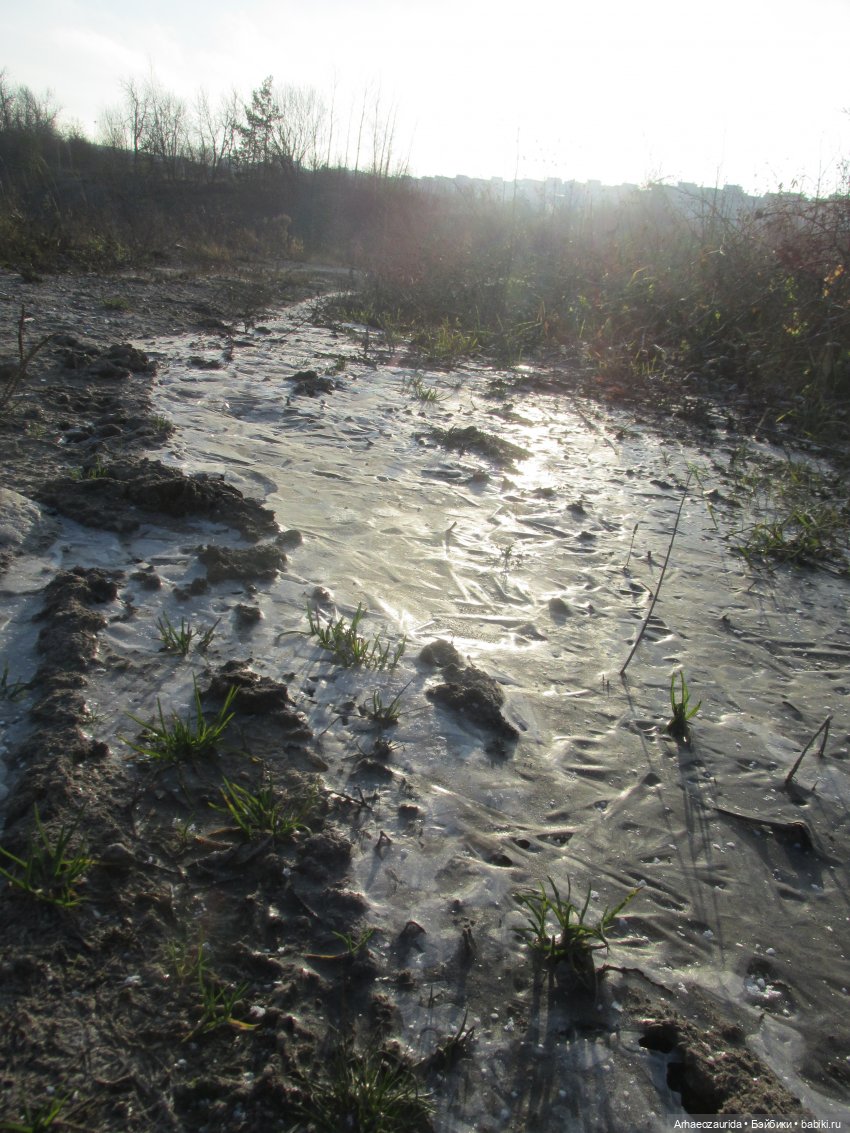 Кейнес: возвращение в Холмы
