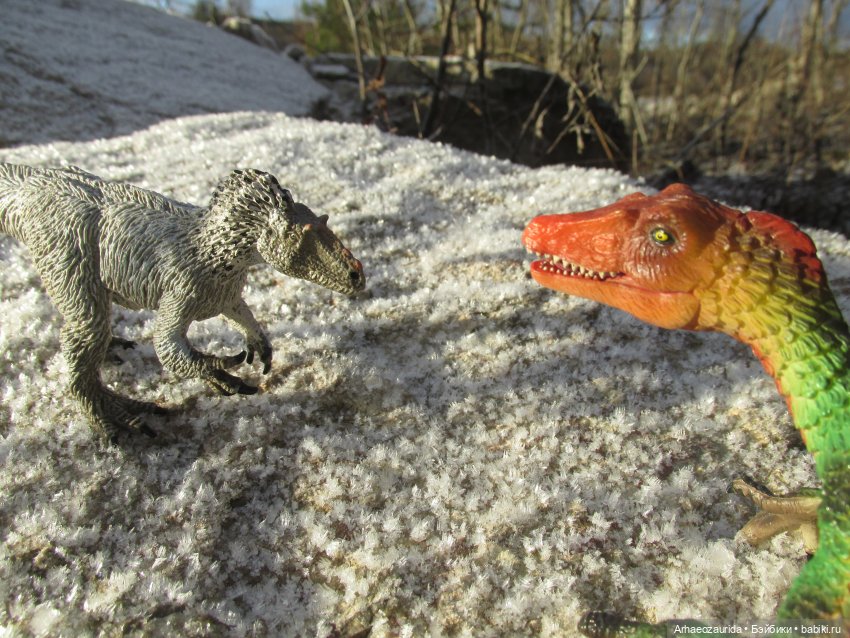 Ящеры в Холмах: кто приходит с первым снегом (фото 8)