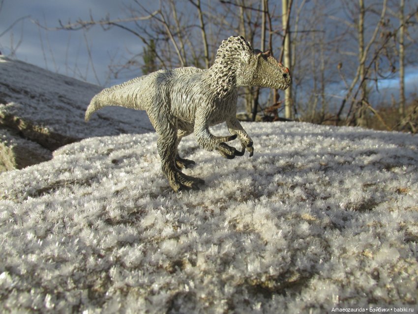 Ящеры в Холмах: кто приходит с первым снегом (фото 6)