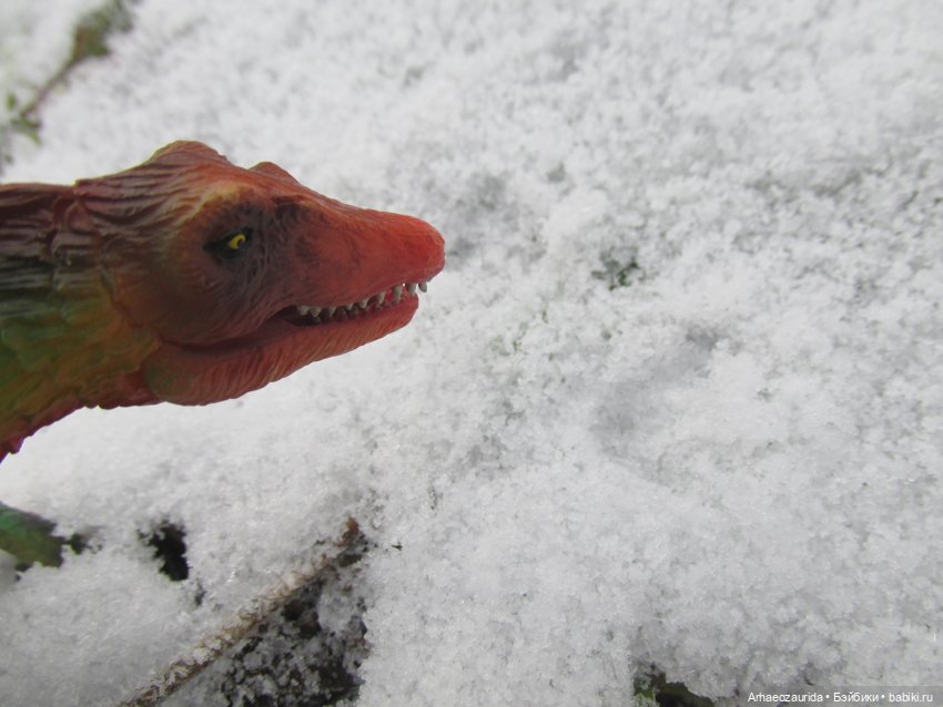 Ящеры в Холмах: кто приходит с первым снегом (фото 2)