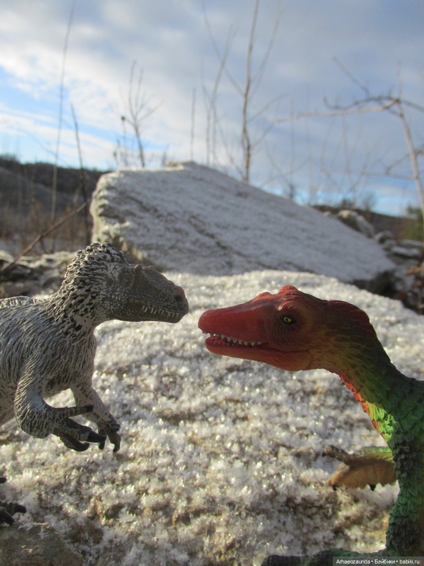 Ящеры в Холмах: кто приходит с первым снегом (фото 10)