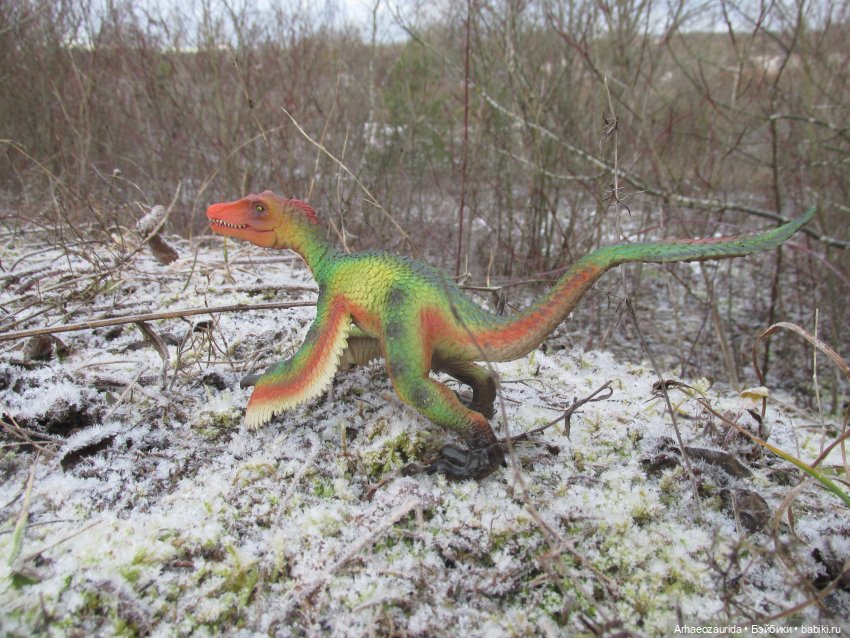 Ящеры в Холмах: кто приходит с первым снегом (фото 3)