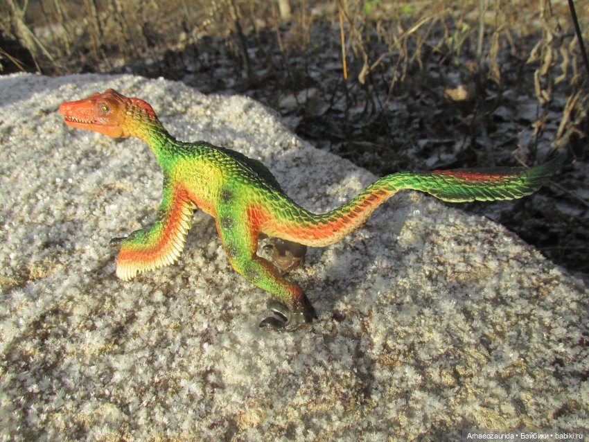 Ящеры в Холмах: кто приходит с первым снегом (фото 7)