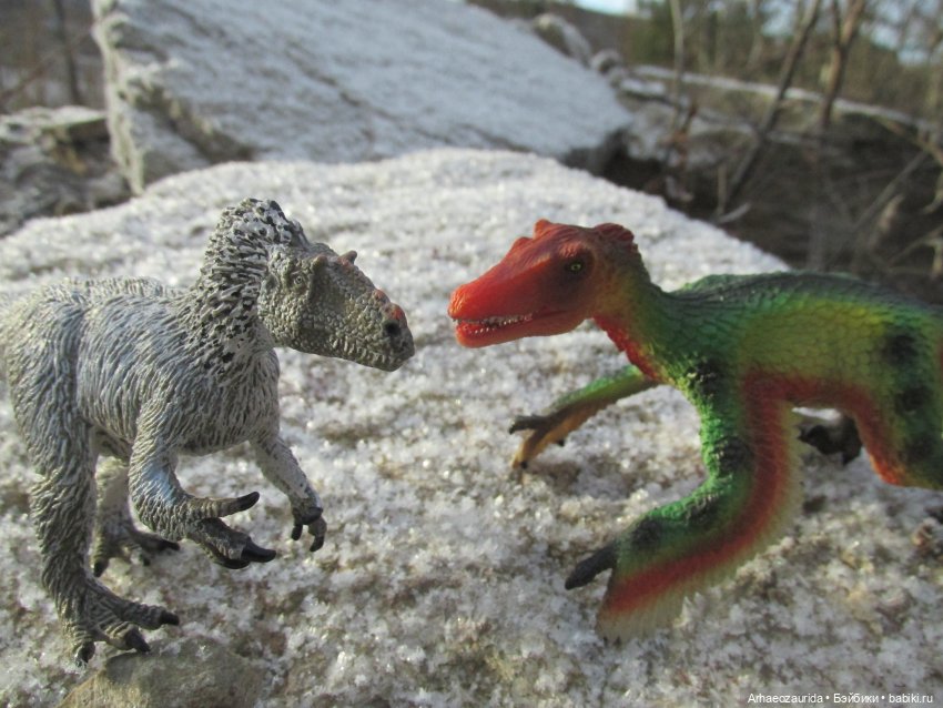 Ящеры в Холмах: кто приходит с первым снегом (фото 9)