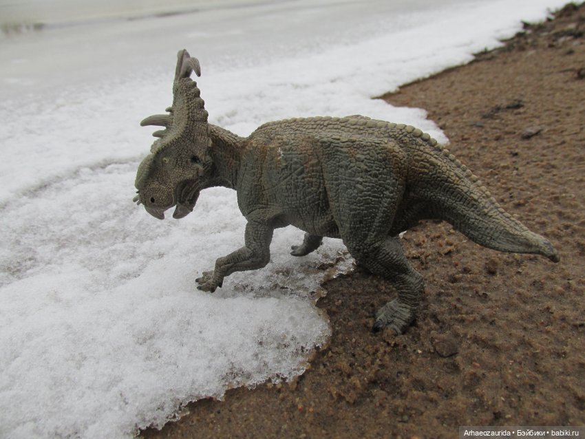 Ящеры у реки: кто не спит подо льдом | Бэйбики Ящеры у реки: кто не спит подо льдом