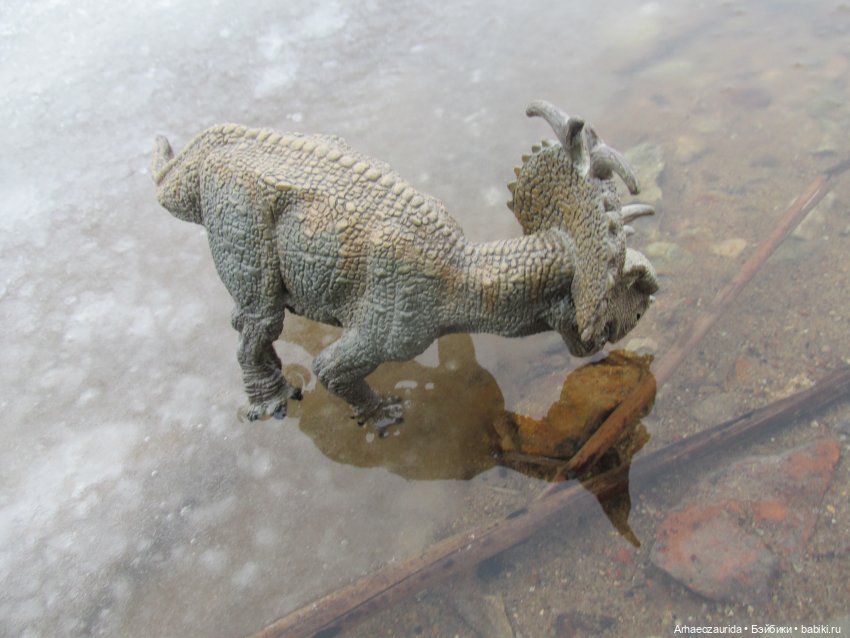 Ящеры у реки: кто не спит подо льдом | Бэйбики Ящеры у реки: кто не спит подо льдом (фото 3)