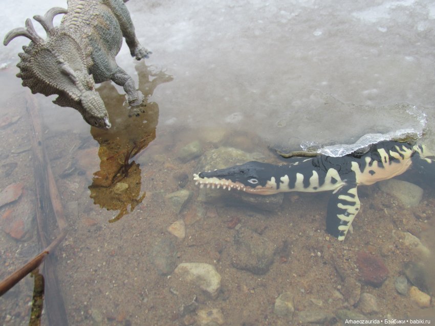 Ящеры у реки: кто не спит подо льдом | Бэйбики Ящеры у реки: кто не спит подо льдом (фото 5)