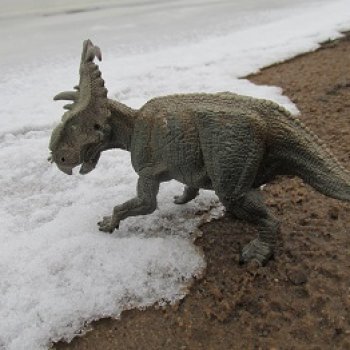 Ящеры у реки: кто не спит подо льдом