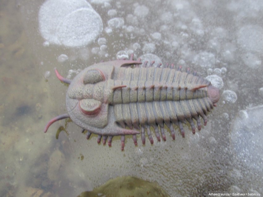 Зимняя прогулка с трилобитом (фото 4)