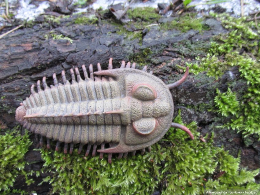 Зимняя прогулка с трилобитом (фото 9)