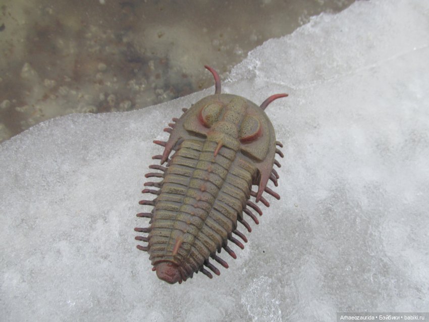 Зимняя прогулка с трилобитом (фото 2)