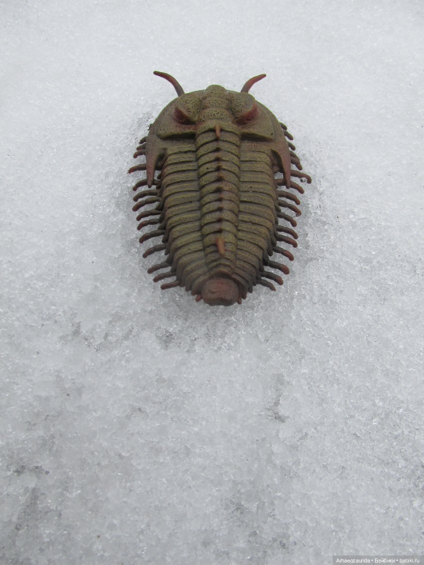 Зимняя прогулка с трилобитом (фото 6)