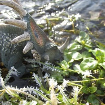 Ящеры у реки: зелёное под белым