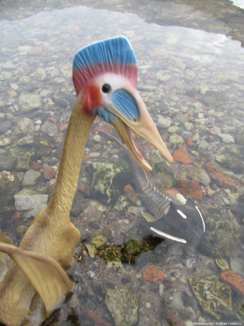 Ящеры у реки: рано прилетел