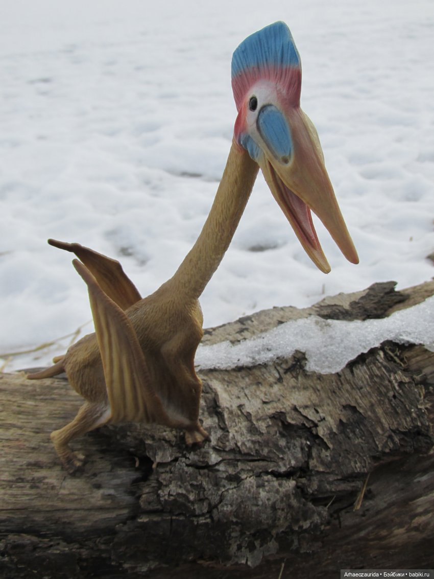 Ящеры у реки: рано прилетел (фото 8)