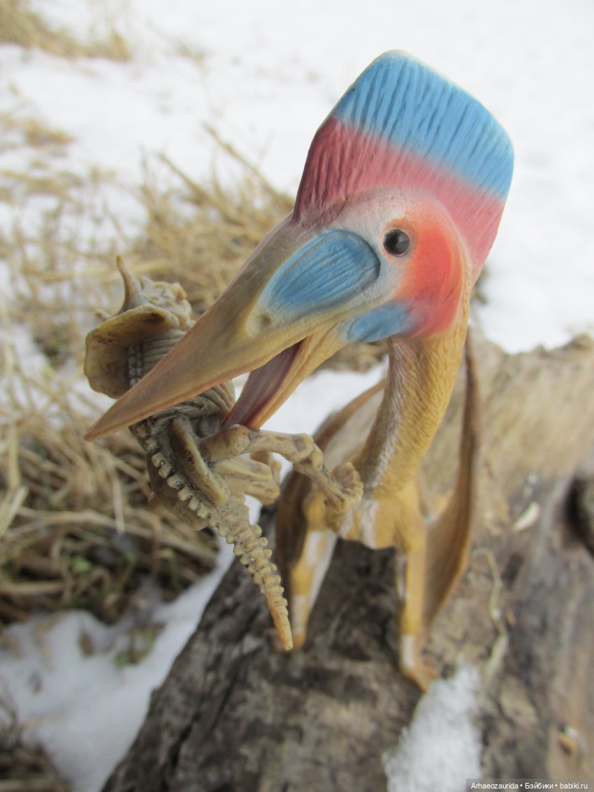 Ящеры у реки: рано прилетел (фото 6)