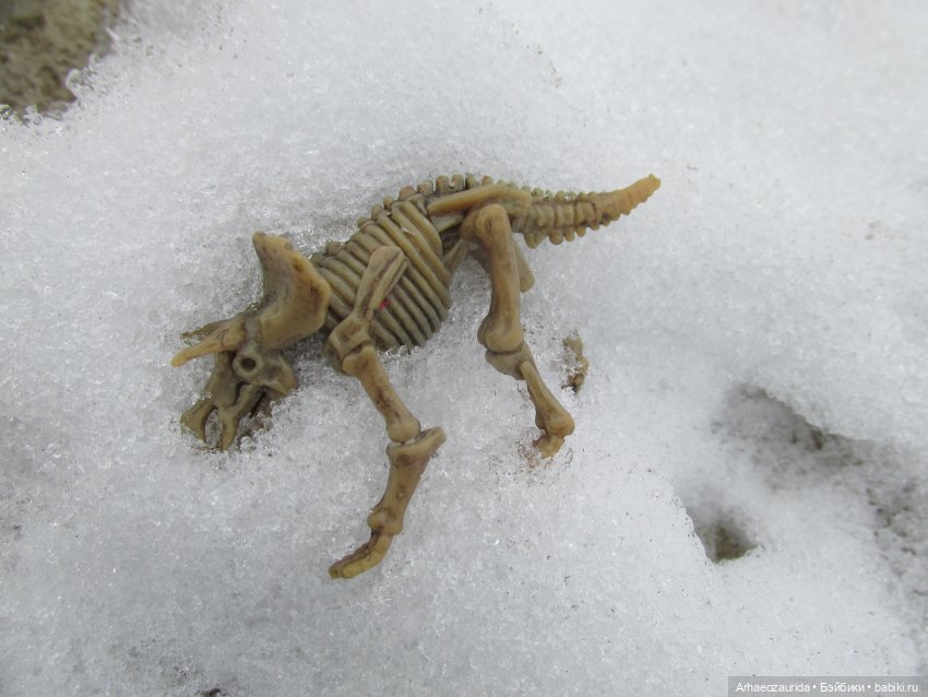 Ящеры у реки: рано прилетел (фото 3)