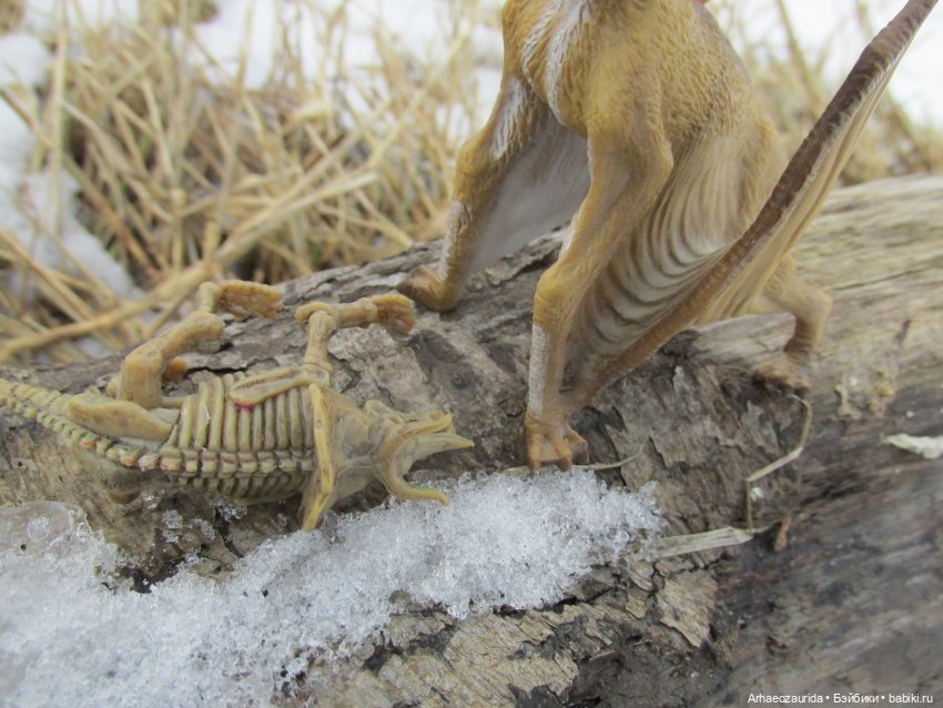 Ящеры у реки: рано прилетел (фото 7)