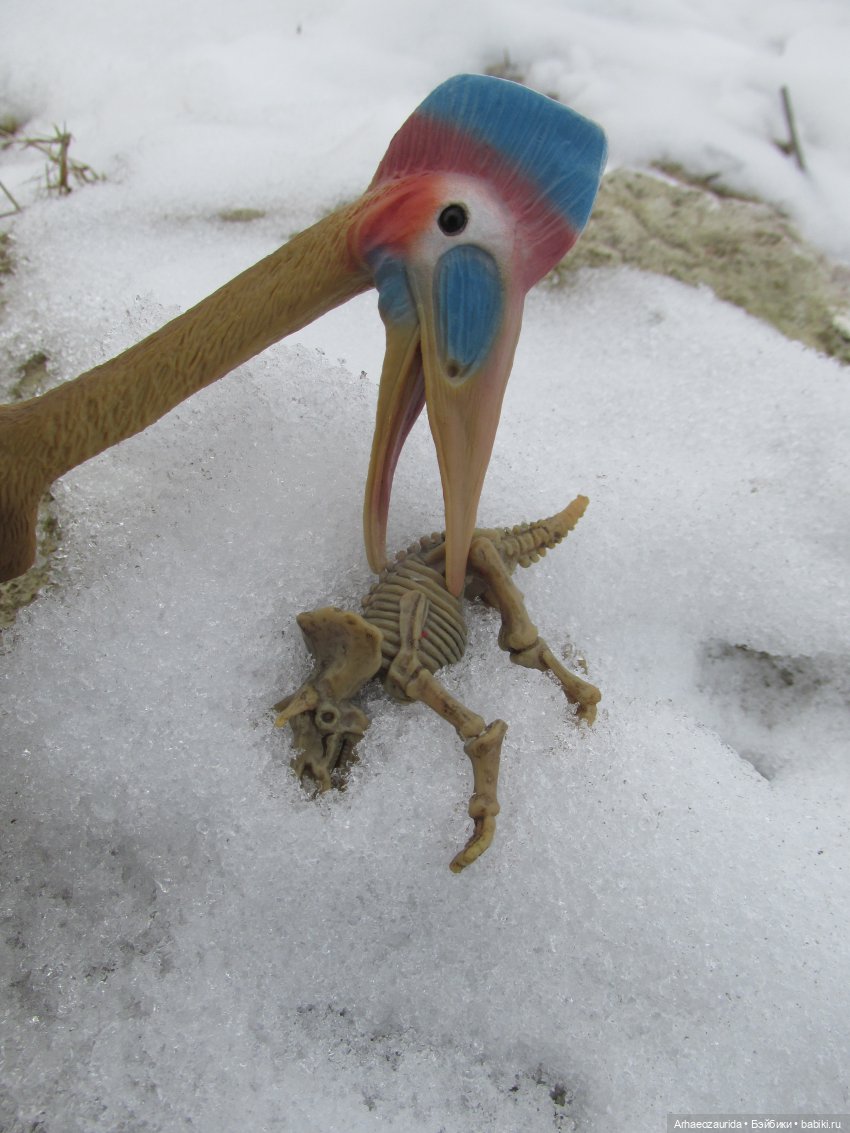 Ящеры у реки: рано прилетел (фото 5)