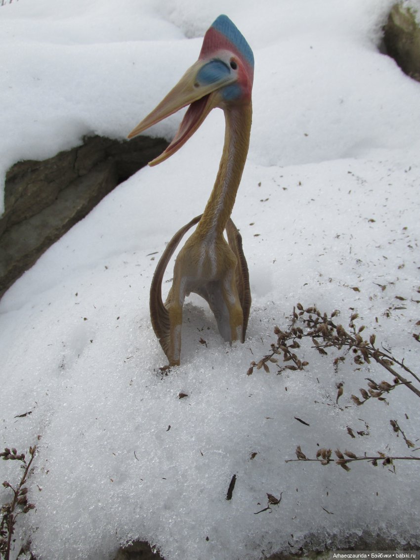 Ящеры у реки: рано прилетел