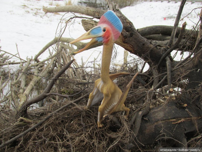 Ящеры у реки: рано прилетел (фото 2)