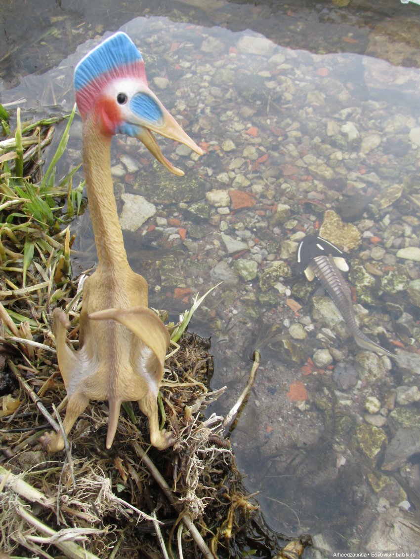 Ящеры у реки: рано прилетел