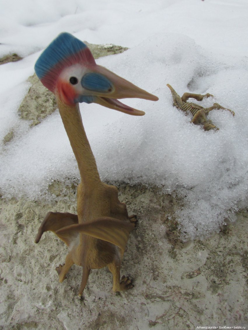 Ящеры у реки: рано прилетел (фото 4)