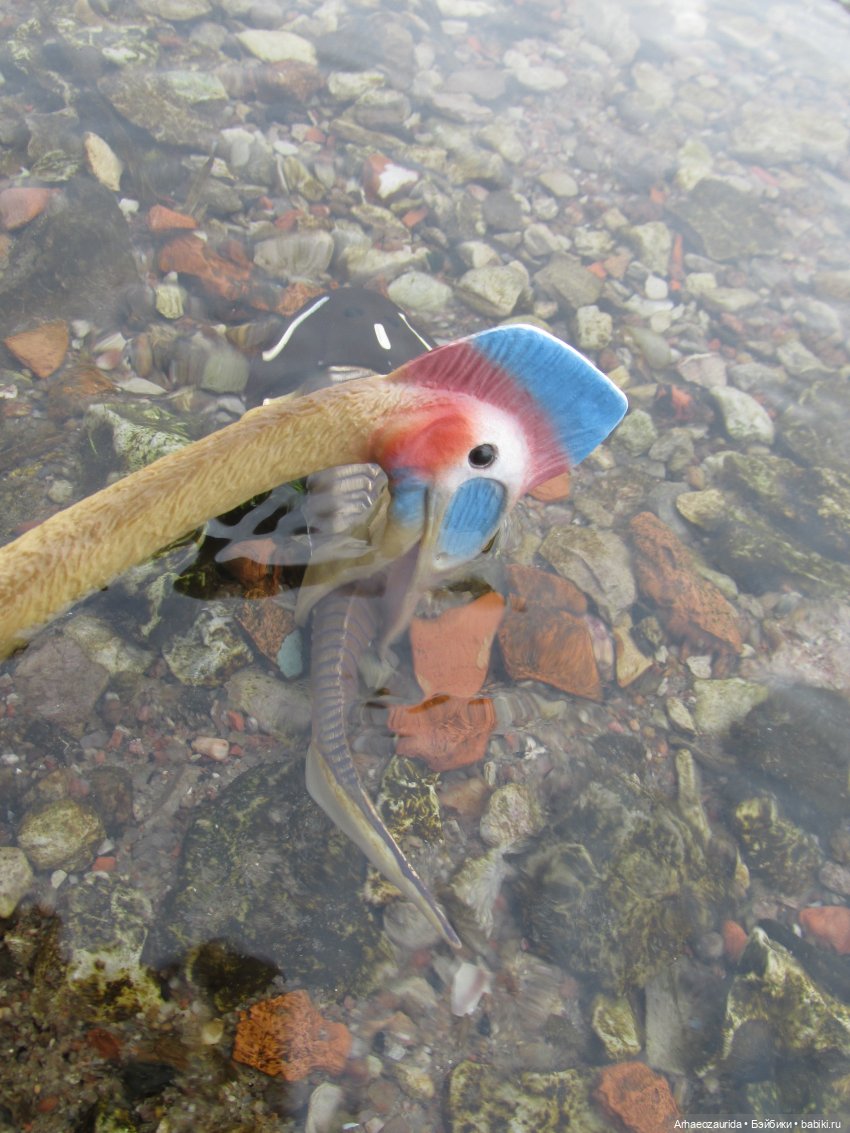 Ящеры у реки: рано прилетел