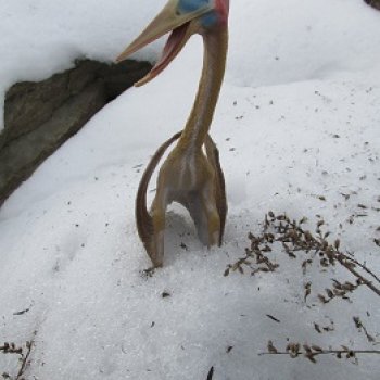 Ящеры у реки: рано прилетел