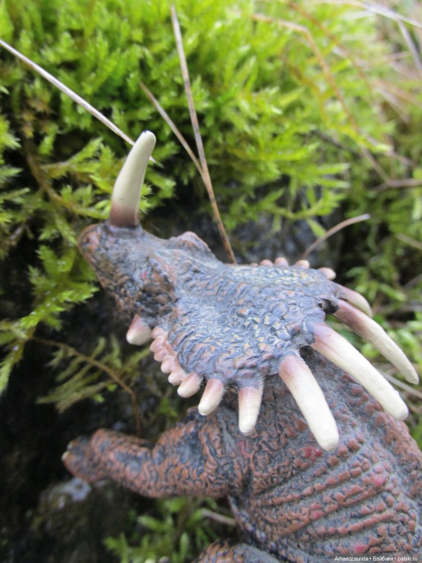 Ящеры у реки: очень скользко (фото 5)