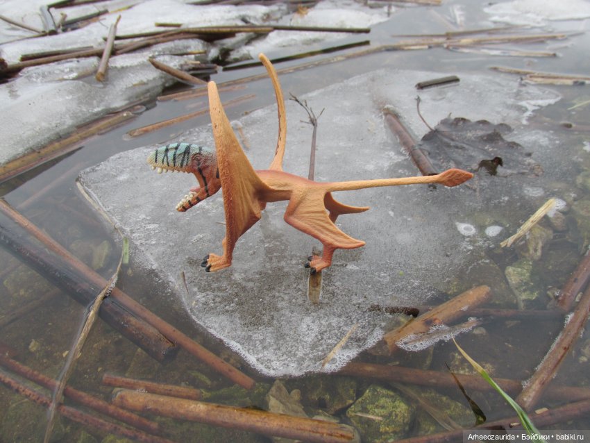 Ящеры у реки: очень скользко (фото 8)