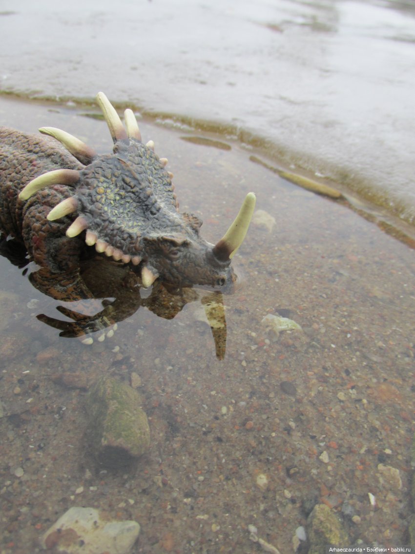 Ящеры у реки: очень скользко (фото 4)