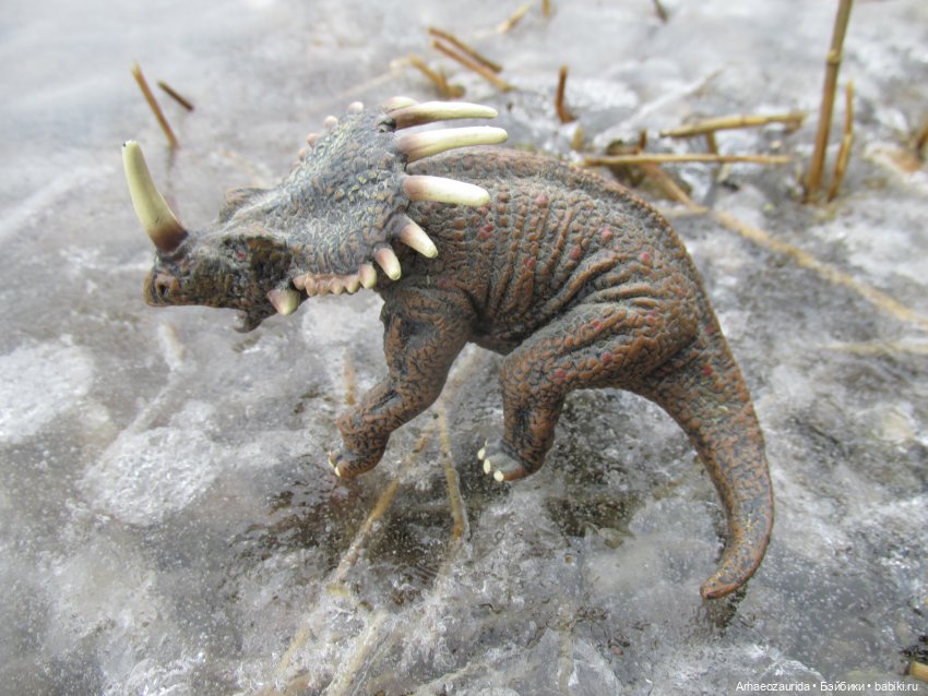 Ящеры у реки: очень скользко