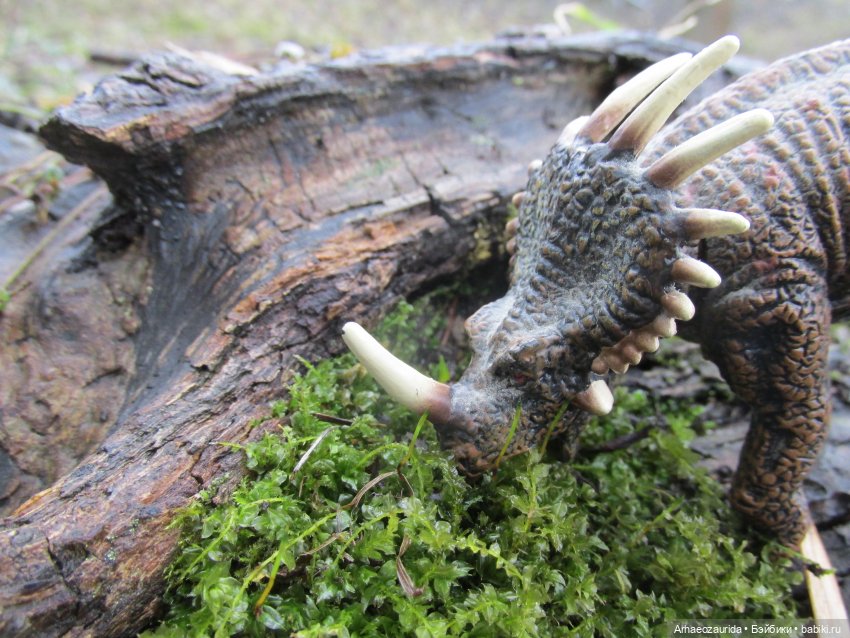 Ящеры у реки: очень скользко (фото 6)